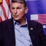 Andrew Cline / shutterstock.com