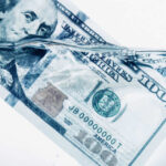 Zwiebackesser / shutterstock.com