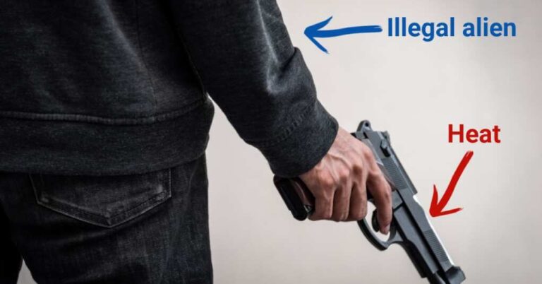 Obama-Appointed Judge Decrees Illegal Aliens Can Now Pack Heat