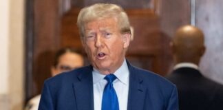 lev radin / shutterstock.com