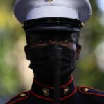 Gordon Donovan / shutterstock.com