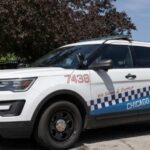 Jonathan Weiss / shutterstock.com