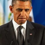 Octavio Hoyos / Shutterstock.com