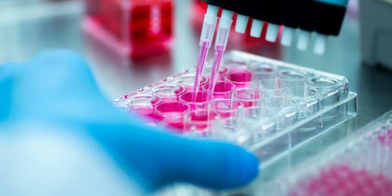 Doctors Find The Key To Killing Cancer